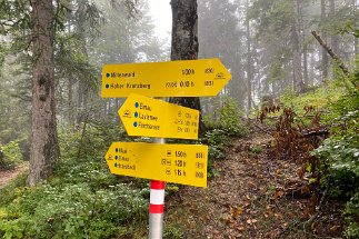 IMG_9857 Weg Kranzberg Elmau null