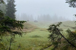 IMG_9858 Weg Kranzberg Elmau null