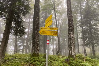 IMG_9864 Weg Kranzberg Elmau null