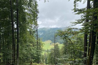 IMG_9866 Weg Kranzberg Elmau null