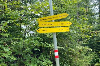 IMG_9867 Weg Kranzberg Elmau null