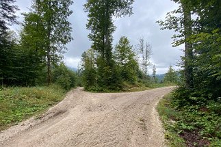 IMG_9868 Weg Elmau Lautersee null