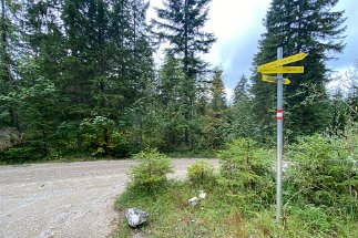 IMG_9870 Weg Elmau Lautersee null