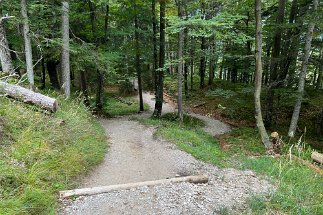 IMG_9265 Kranzberg Wanderweg 813 null