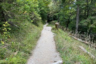 IMG_9268 Kranzberg Wanderweg 813 null