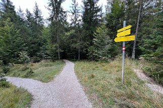 IMG_9269 Kranzberg Wanderweg 813 null