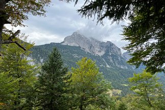IMG_9270 Kranzberg Wanderweg 813 null