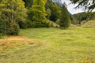 IMG_9280 Ferchensee Wanderweg 872 null