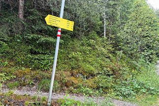 IMG_3139 Wegweiser Weg 355 null