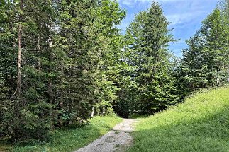 IMG_3142 Weg 355 null