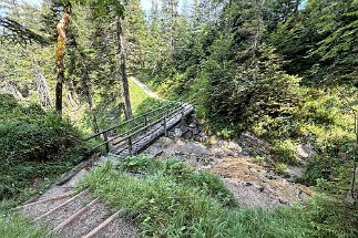 IMG_3155 Steg Hüttlebachklamm null