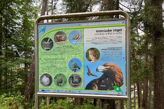 IMG_5768 Krün Isar Natur Erlebnisweg null