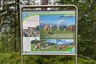 IMG_5770 Krün Isar Natur Erlebnisweg null