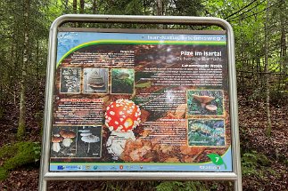 IMG_5773 Krün Isar Natur Erlebnisweg null