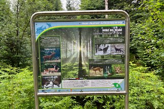 IMG_5780 Krün Isar Natur Erlebnisweg null