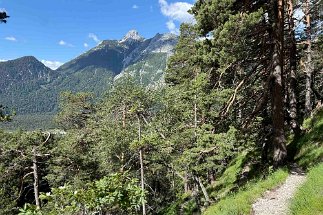IMG_3010 Leitersteig null