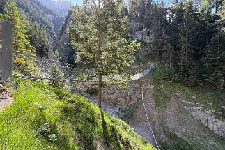 IMG_3014 Hängebrücke Sulzleklamm null