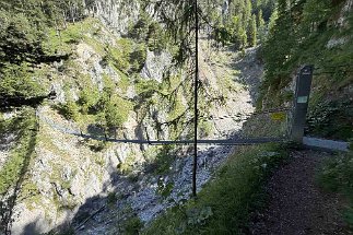 IMG_3017 Hängebrücke Sulzleklamm null