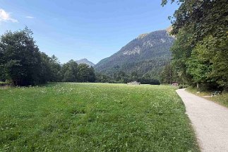 IMG_4439 Weg zum Wasserfallsteig null