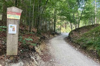 IMG_4447 Weg zum Gletscherschliff null