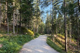IMG_4454 Klammweg null