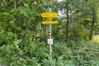 IMG_0164 Mittenwald Hoffeld null