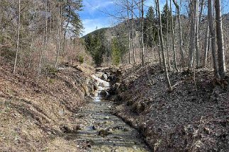 IMG_1902 Weg Richtung Wurmansau null