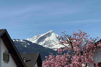 IMG_2269 Partenkirchen Blick Alpspitze null