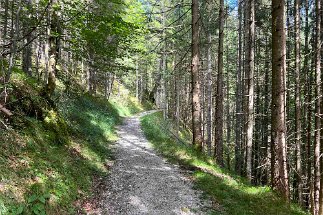 IMG_1630 Weg zum Wasserfall null