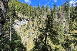 IMG_1636 Schlucht null
