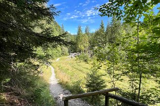 IMG_1638 Brücke Schwarzbach null