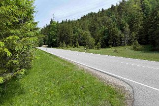 IMG_1640 Wegabschnitt Bundesstraße null