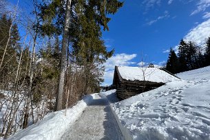 2022 02 14 IMG_7833 Winterwanderung Kruen Barmsee