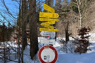 2022 02 14 IMG_7836 Winterwanderung Kruen Barmsee