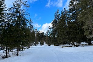 2022 02 11 IMG_7455 Winterwanderung Mittenwald Isarhorn Kruen