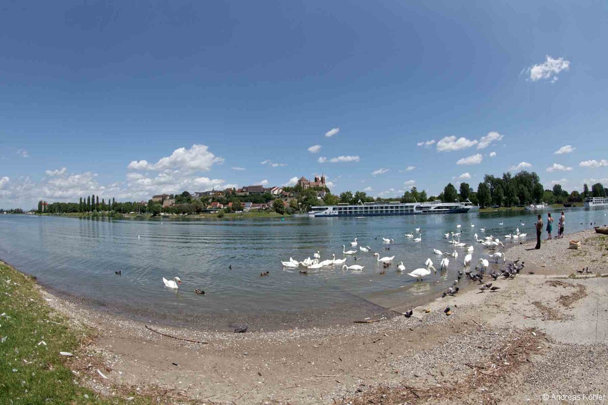 Breisach Rhein Panorama