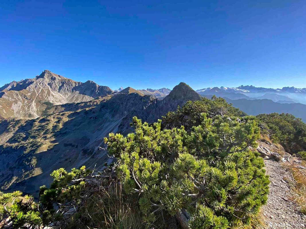 Blick zum Nebelhorn