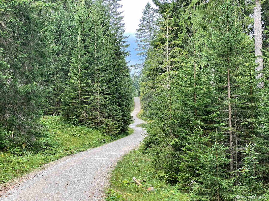 Weg Ferchensee Steiler Hütte