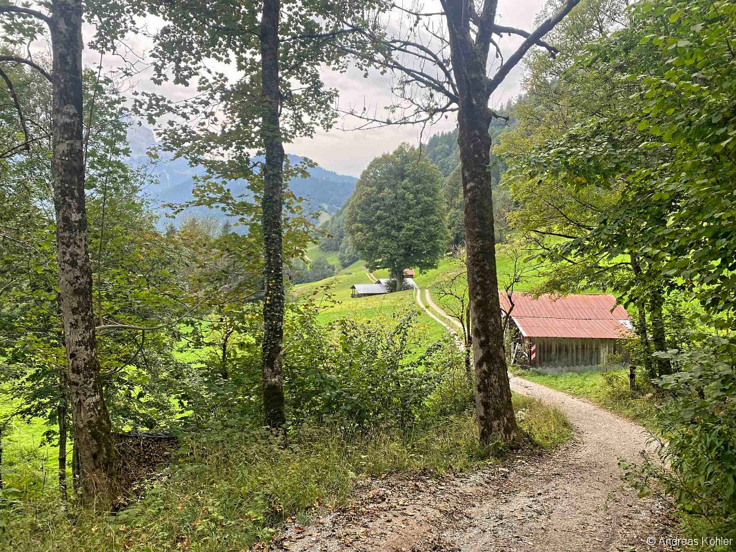 Hintergraseck