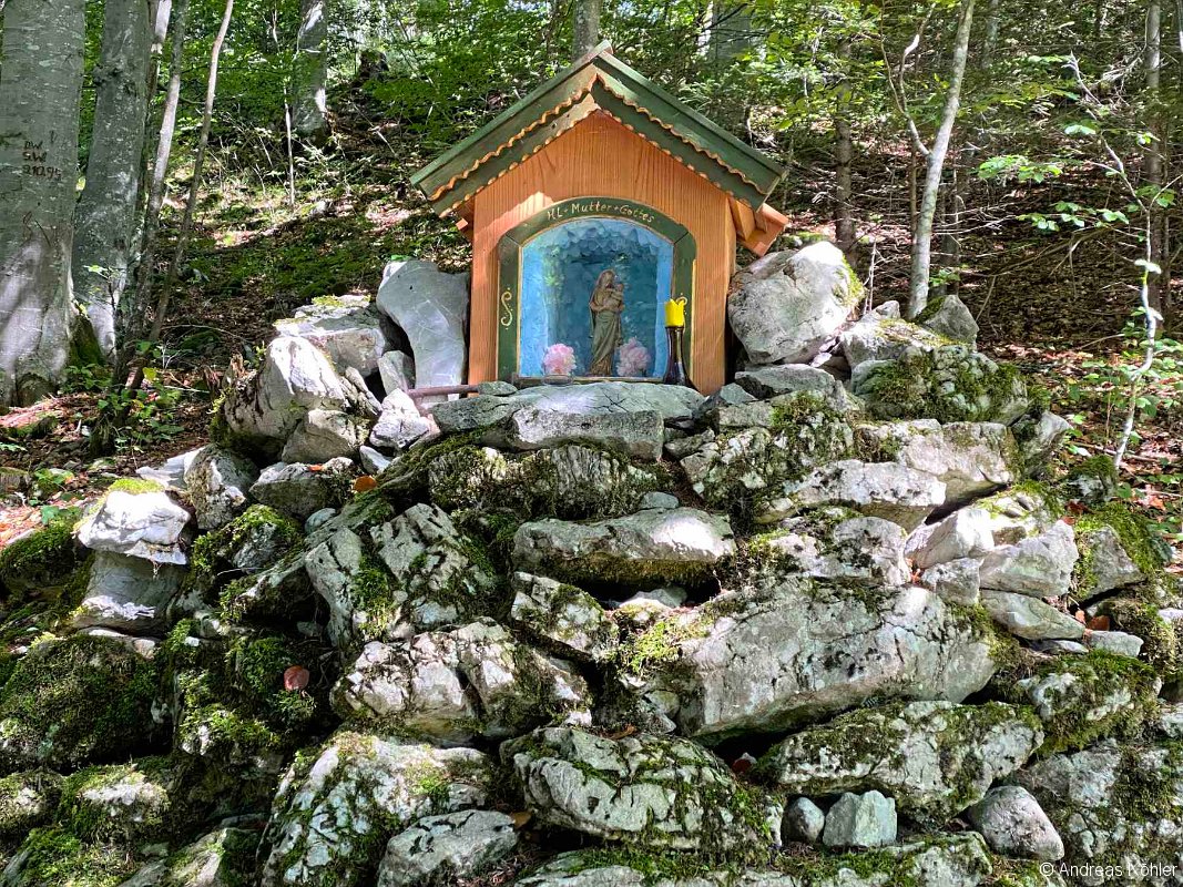 Waldstrecke