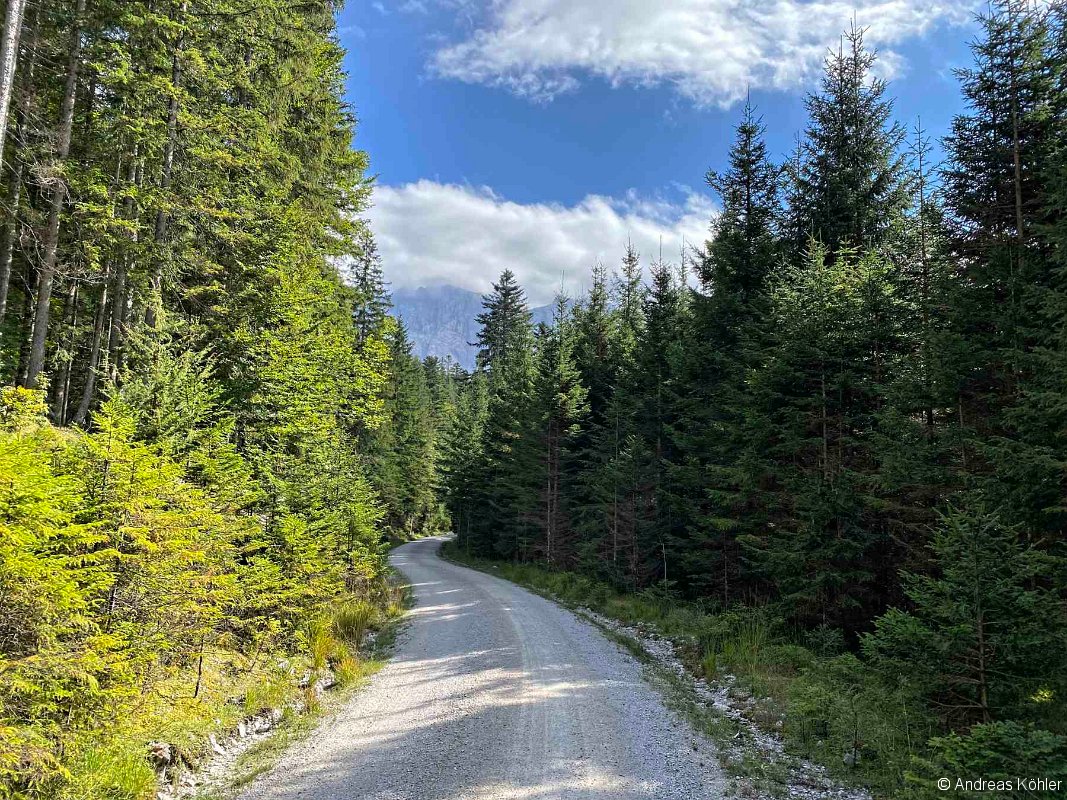 Weg zum Eibsee