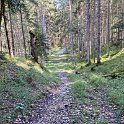 Übergang Forstweg