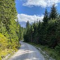 Weg zum Eibsee