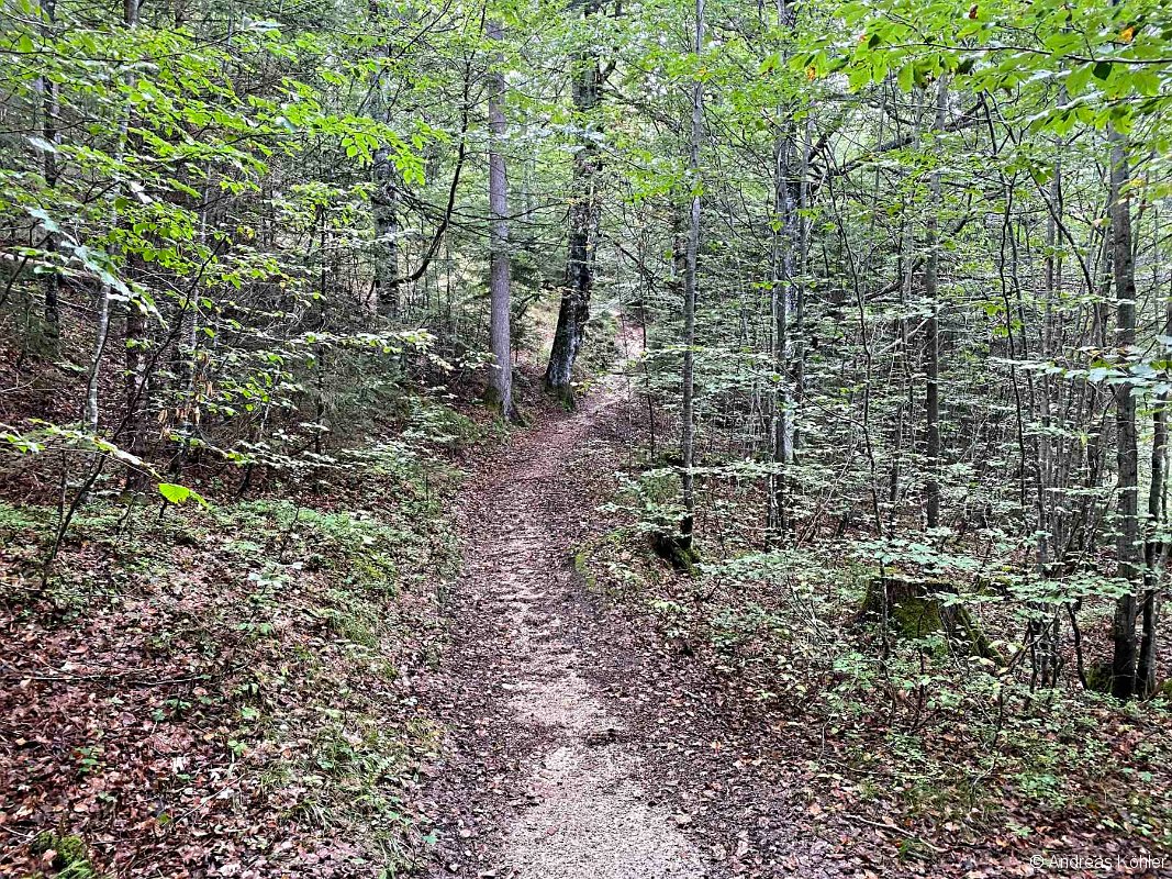 Abstieg zum Lautensee