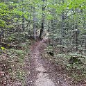 Abstieg zum Lautensee