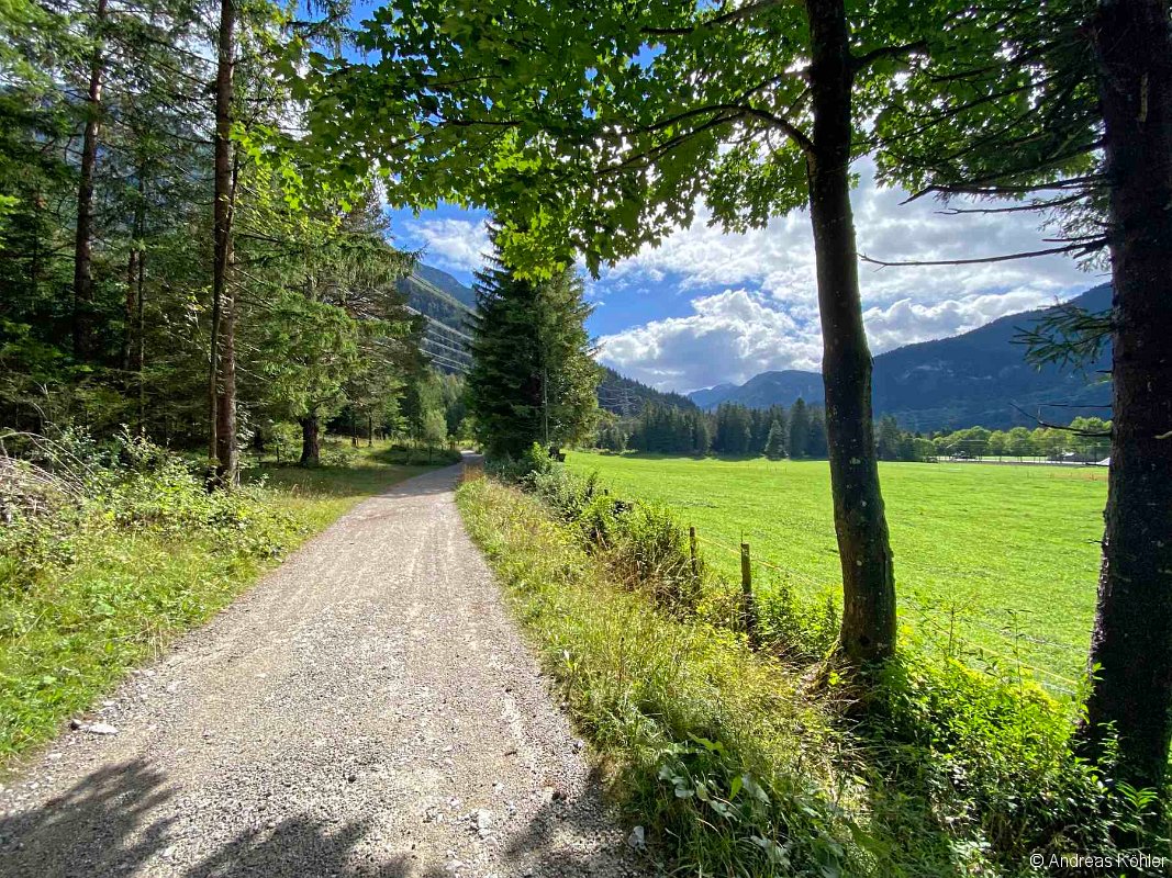 Teilstück Wald