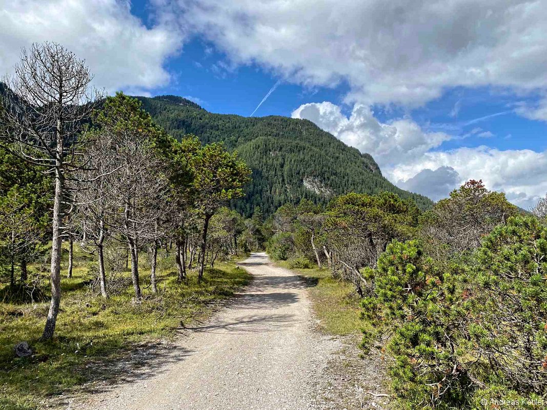 Weg Riedboden
