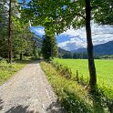 Teilstück Wald