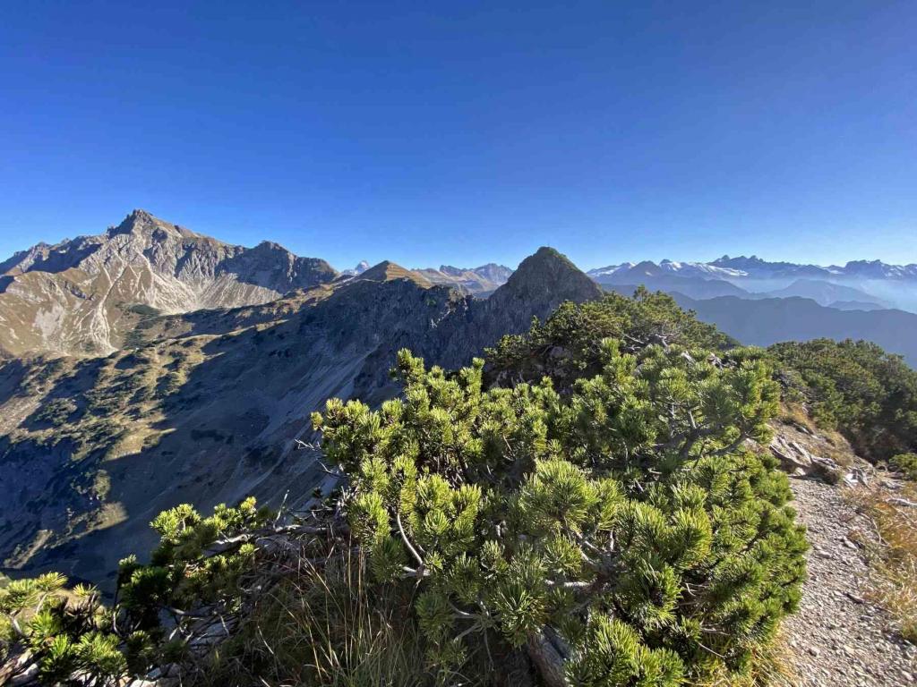 Rubihorn Blick Nebelhorn