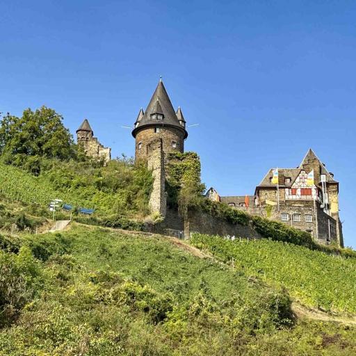 Bacharach Burg Stahleck
